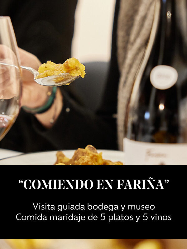 Visita guiada a la bodega y museo Fariña. Comida maridaje de cinco platos y cinco vinos de la bodega