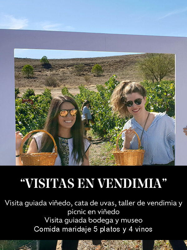 Visitas en vendimia